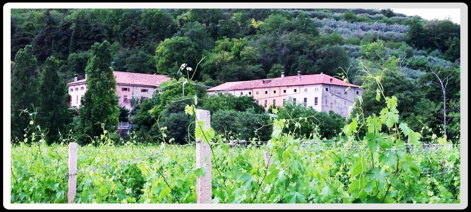 Agriturismo Andreis Alloggi Illasi Exterior photo